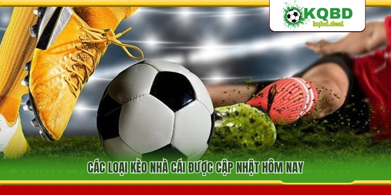 Các loại kèo cược nhà cái phổ biến hôm nay